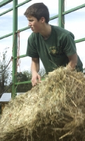 Nate Heaves Hay