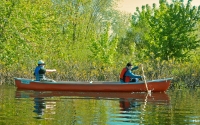 Peaceful Waters