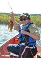 Sunfish for Kent