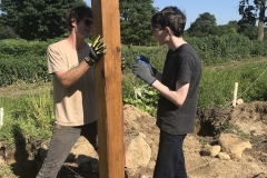 UNADJUSTEDNONRAW_thumb_29a25