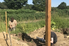 UNADJUSTEDNONRAW_thumb_29a28