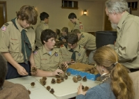 scout coners