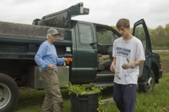 Garlic Pull