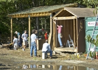 Taking on the Shed