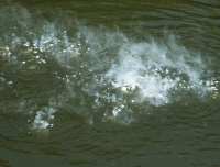 HFDry&Wetcopy