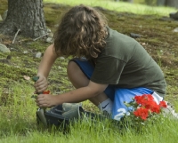 Tim plants geraniums