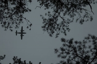 Plane Overhead