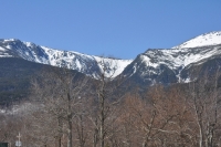 Mt Washington From Wildcat