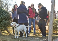 People talk, dogs sniff