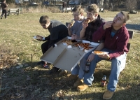 Pizza picnic
